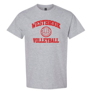 Grey Volleyball Tee - Official Practice tee
