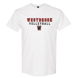 Collegiate Volleyball Tee