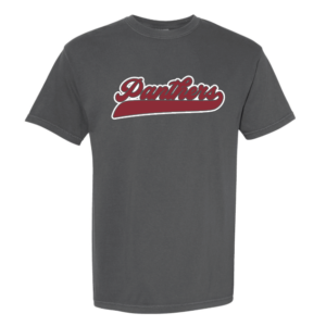 Panthers Vintage Tee